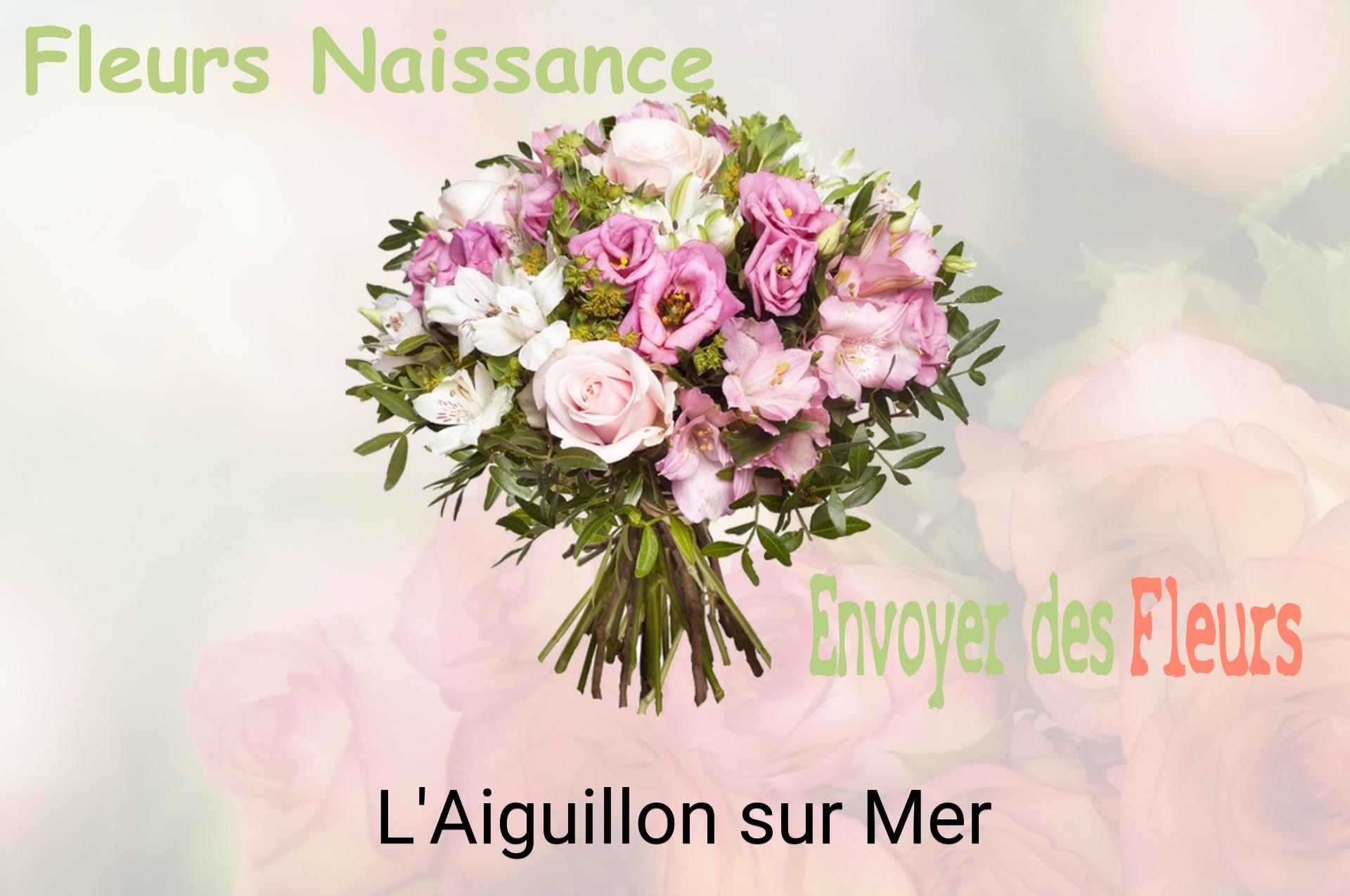 Bouquet de fleurs de naissance livré à L'Aiguillon-sur-Mer